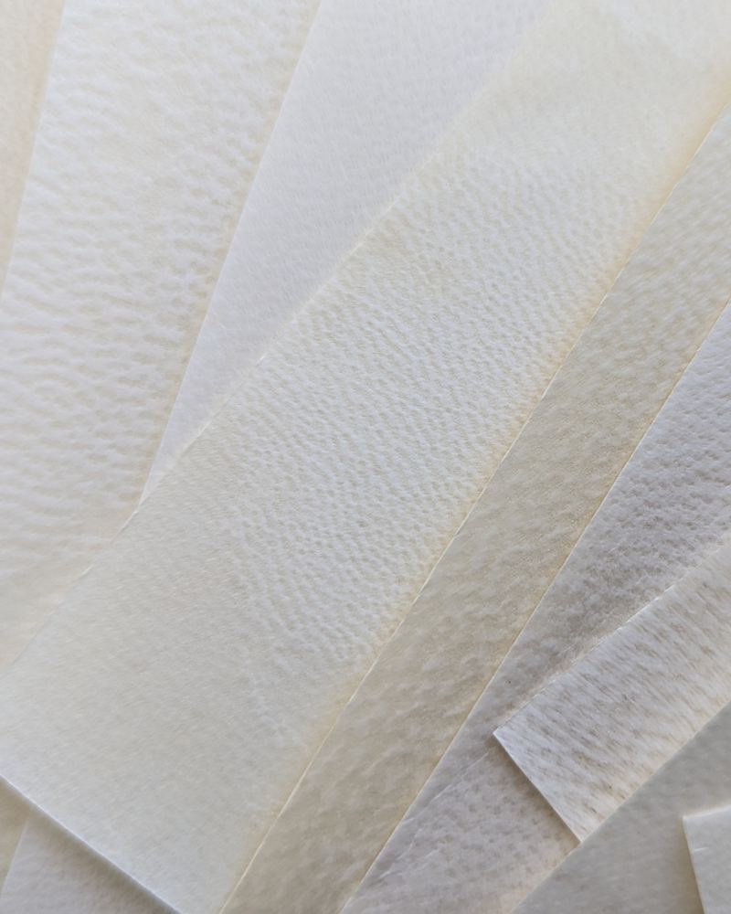Des feuilles de parchemin crème disposées en éventail